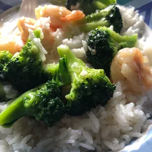 Shrimp and broccoli!!!