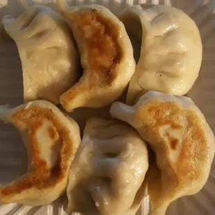 Pot Stickers