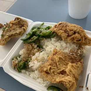 Savage picture of my Spicy pork chops.   I ate about 1/3 before I remembered to take a picture.