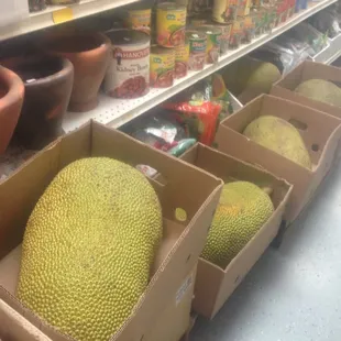 jackfruits in cardboard boxes