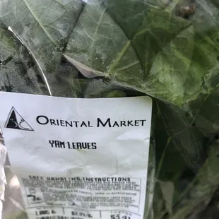 See insect or small snail upper right section of the plastic!