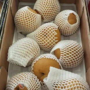 The HUGEST and best around!!!