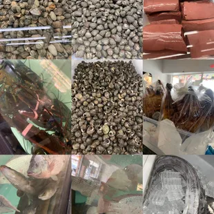 a variety of fish and seafood