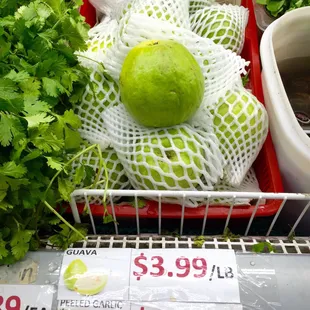 Wow! They have fresh guava now! (05/13/2016)