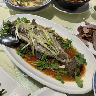 Steamed Fish