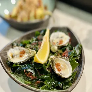 Season Fresh Oysters