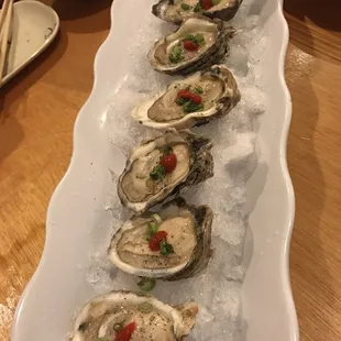 Oyster Shooters