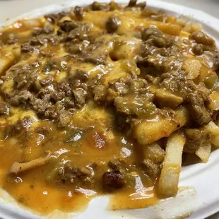 Carne Asada Fries