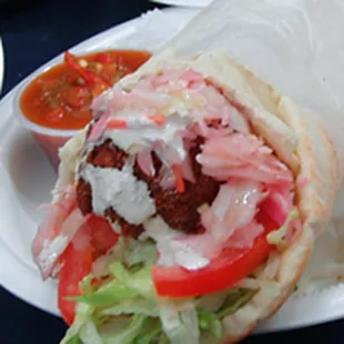 Falafel Sandwich