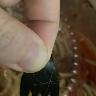 The light colored hair that I found in my food.