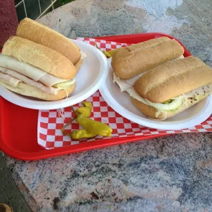 Turkey Sub the best