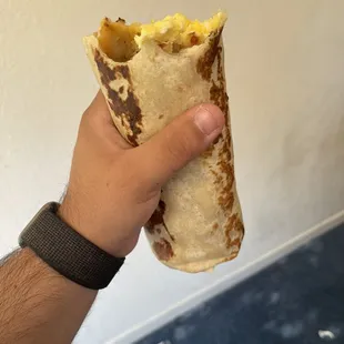 a hand holding a burrito