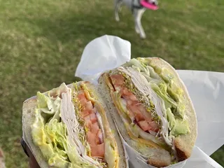 Sandwich Zone