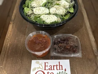Earth To Oven