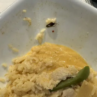 Found a bag in my food owner wont take responsibility or offer a real compunction