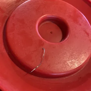 piece of wire found in my food