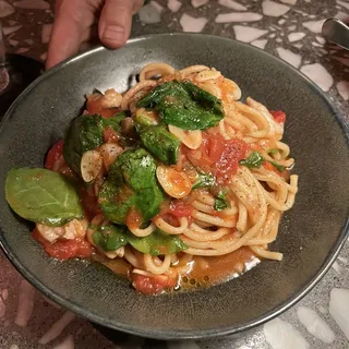 Bucatini with Shrimp
