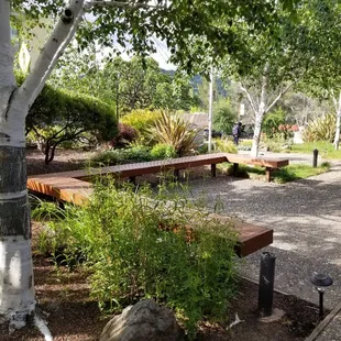 Our patio has comfortable wood benches surrounded by beautiful landscaping.