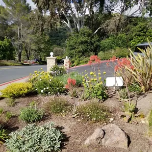 Beautiful inviting landscaping upon entering our venue.