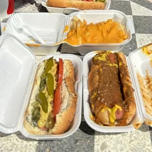 Chicago on the left and Detroit coney minus onions on the right.