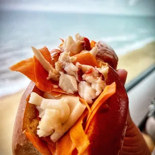Lobster banh mi