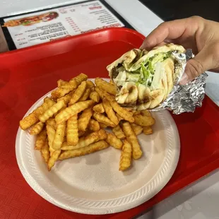 Gyro and Fries