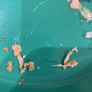 Pieces were inside the shrimp