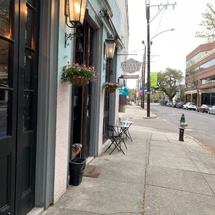 The best uptown neighborhood coffee spot gem, and it's dog friendly!  Spot Tank!