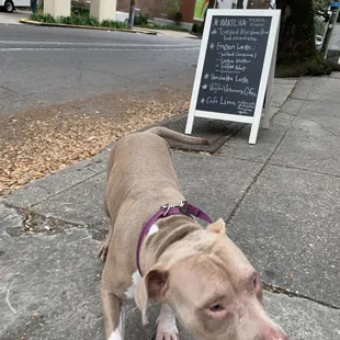 Pricilla is happy with Orleans Coffee!