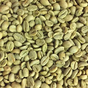 a pile of green coffee beans