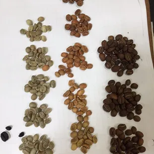 a variety of coffee beans