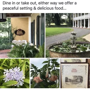 Ormond Manor