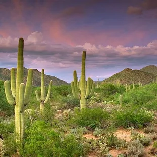Oro Valley/Dove Mountain is a spectacular place to ride.