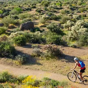 Biking scenic HoneyBee Canyon Trail, we pickup/deliver Specialized mountain bikes for self guided tours  - daily.