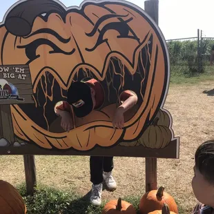 By the corn maze