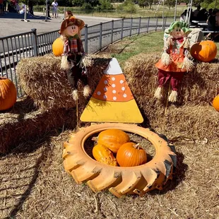 Fall photo op