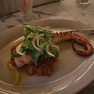 Octopus