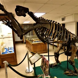 Orton Geological Museum