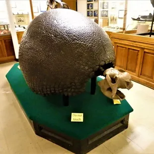 Glyptodon Clavipes