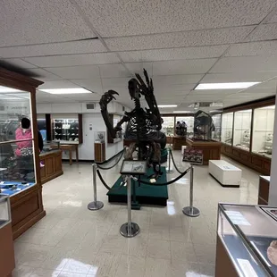 Giant Sloth Skeleton