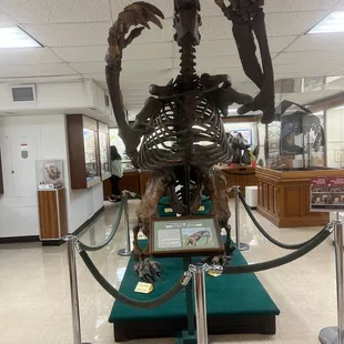 Metal onyx Jeffersoni - Giant Ground Sloth