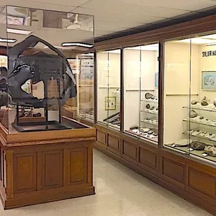 A look inside the Orton Geological Museum. A skull of the large Devonian fish Dunkleosteus from Ohio is a popular exhibit.