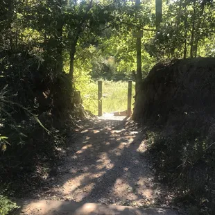 Going to the falls area