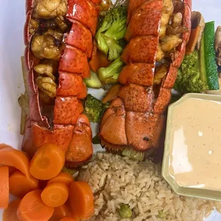 2 Tail Lobster