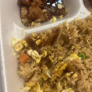 Flying insects in rice