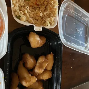 The rest of the frozen flavored sweet and sour chicken that we fed to the dogs.