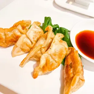 gyoza