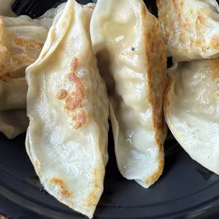Gyoza
