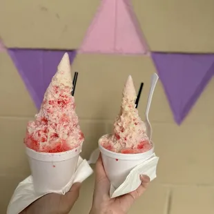 Snow cones before it&apos;s gone (only avail during summed)