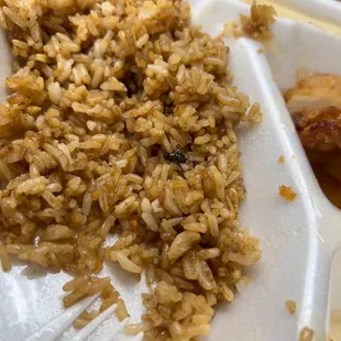 rice and chicken in a styrofoam container
